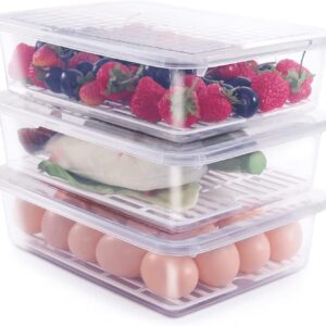 SATVIKAYA Containers Accessories Space Saving 2500ml
