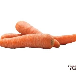 CARROT